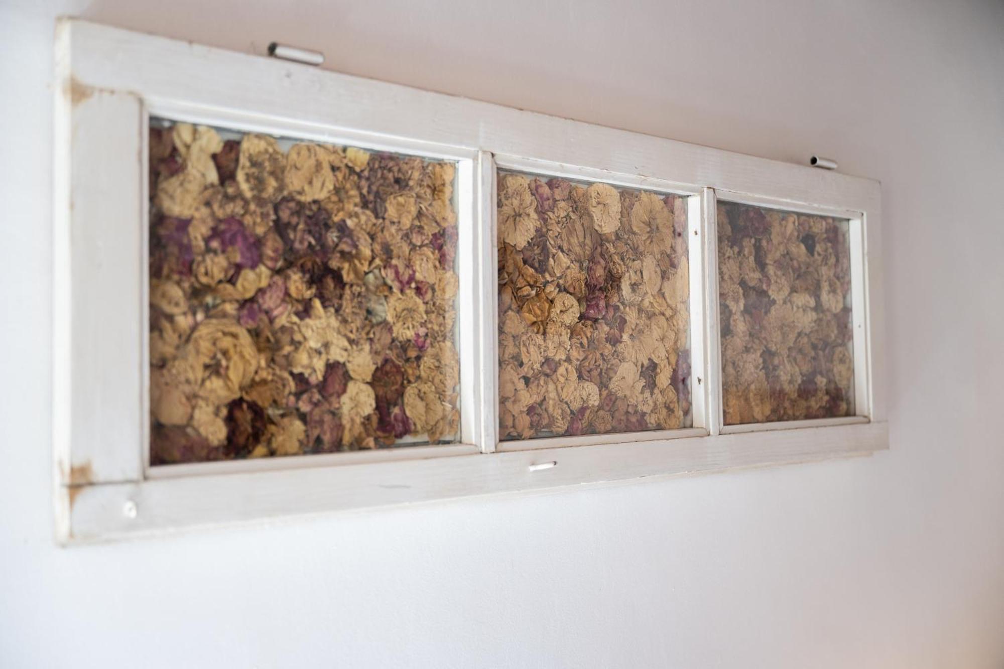 Appartamento Tipica Cozy House + Parking! Firenze Esterno foto